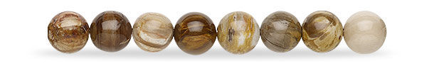 Petrified Wood Beads